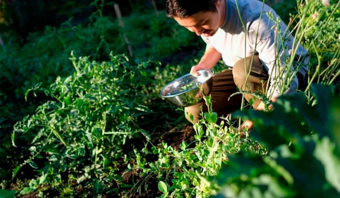 ～食を通じてつながる世界～サステナブルな未来を耕すために。