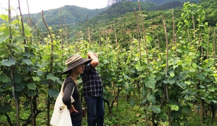 探し続けるということ～「株式会社ラシーヌ」合田泰子さん