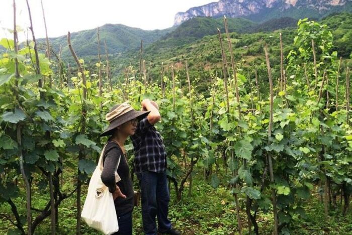 探し続けるということ～「株式会社ラシーヌ」合田泰子さん