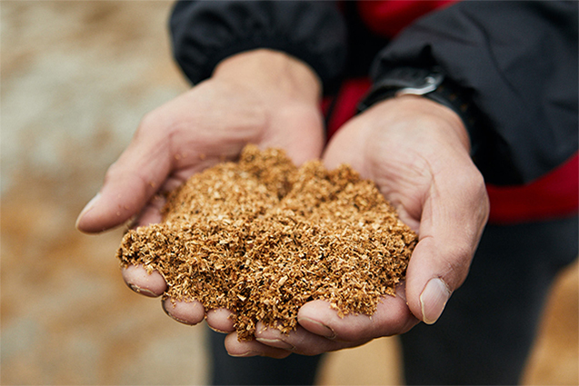 「一番重要なのは菌床つくりです。うちの菌床は落葉樹のオガ粉にふすま、米ぬか、乾燥おから、乾燥ビール酵母、“ミネラルフジ海洋古代化石”などを混ぜて地下水で練り、容器に詰めて殺菌しています」。保田さんの安心安全への挑戦は、さらに続きます。自家製の栄養剤で栽培する方法を模索。６年の歳月をかけて独自の配合を完成させました。
