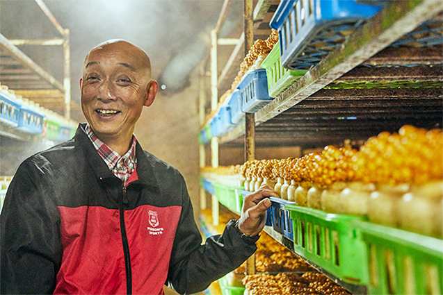 菌舎に入ると、菌床の瓶が整然と並んだ部屋がいくつも並んでいます。温度・湿度管理に神経を使いながら十分に育ったなめこを収穫、選別して出荷します。「なめこは栽培終了まで、トータルで100日かかります。収穫後に出てくる２回目のなめこも出荷しています。こっちはぬめりが少なくてシャキシャキした食感で、これが好きだって人もいるんです」。“作る自分たちが笑顔。食べた方も笑顔。”のポリシーどおり、安田さんの笑顔が印象的でした。