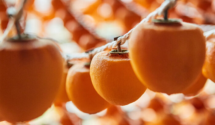 この土地だから出会える味がある