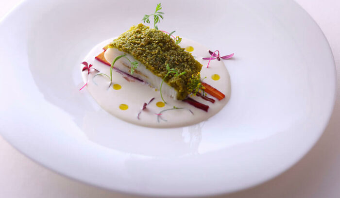 vol.7　リコッタ x 「リストランテ山崎」矢島 直樹シェフ 編