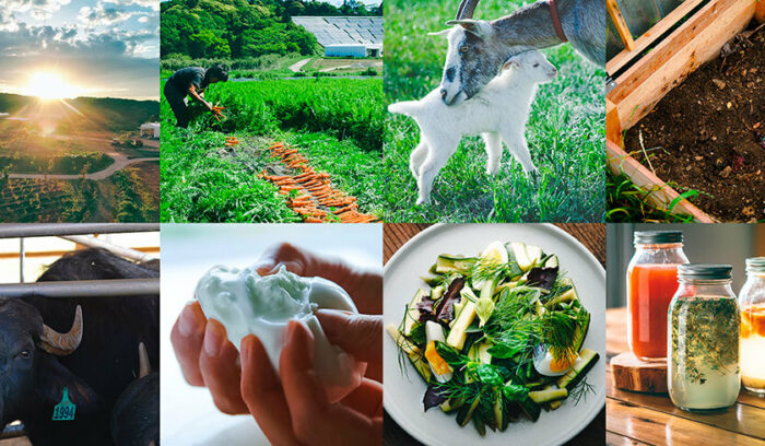 “食×SDGs”Conference -Beyond Sustainability- #1