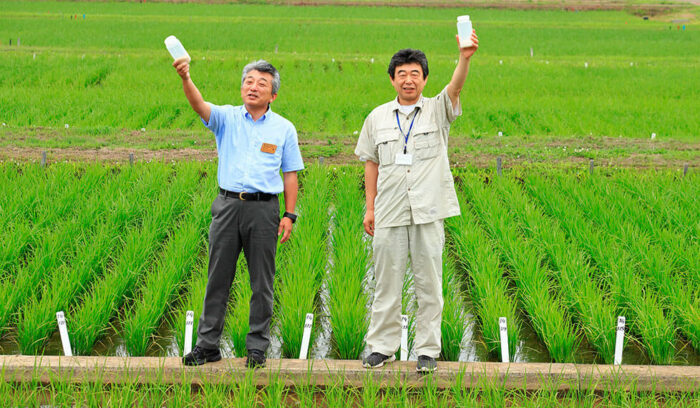 vol.1　地元の酒米で、地酒を造る時代へ