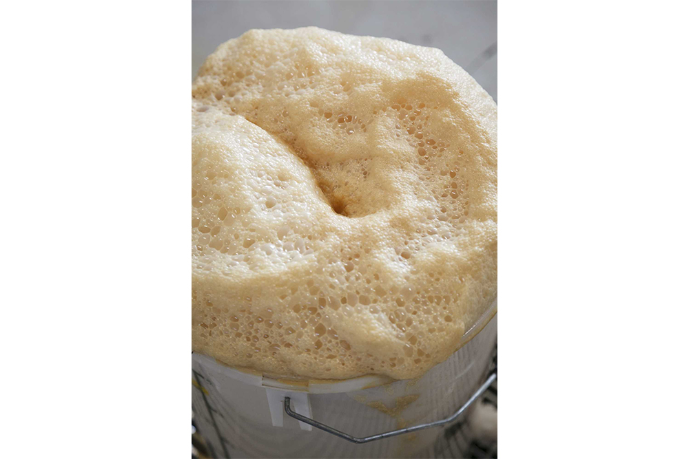 タンクに残った滓をバケツに溜めていたら、数分もしないうちにムクムクと元気な泡が。