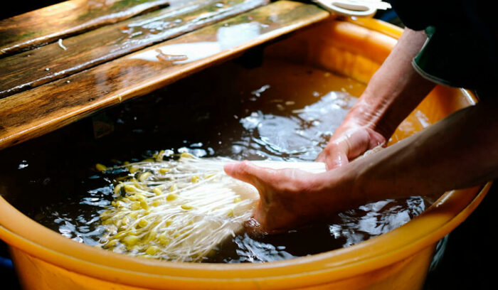 青森県津軽を訪ねて