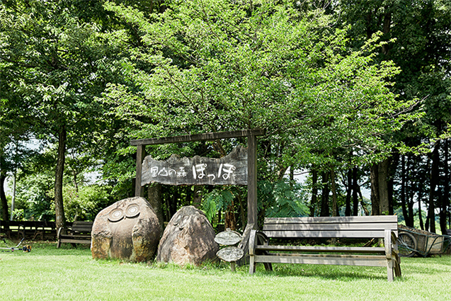 直売所の前には平地林に囲まれた畑があり、農業体験やイベントも実施。