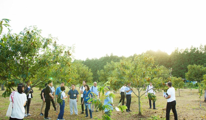 東京から１時間圏の産地の魅力