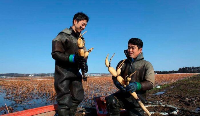料理人の移住を支援します ! !食で里山里海の未来をつくる石川スローツーリズム