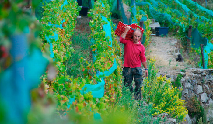 vol.23　リグーリア州　ワイン生産者　ヴァルター・デ・バッテ