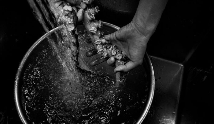 リオネル・ベカシェフが写真で訴える“生命の循環”「TRANSVERSALITÉ 生命縦断」