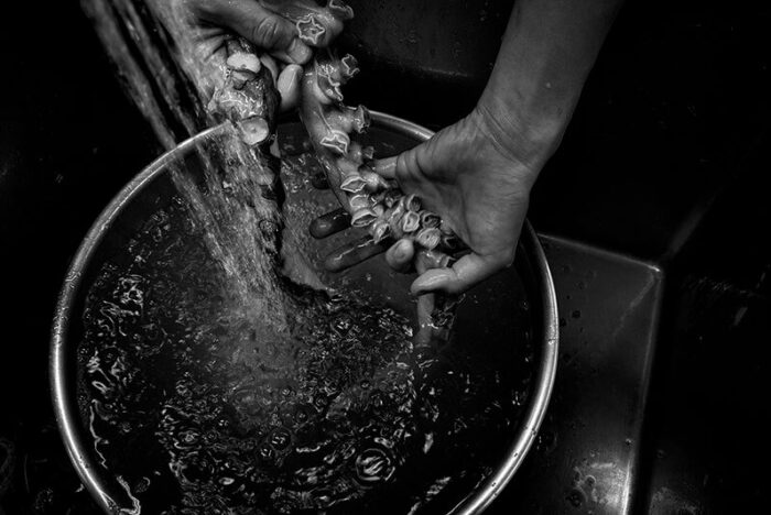 リオネル・ベカシェフが写真で訴える“生命の循環”「TRANSVERSALITÉ 生命縦断」