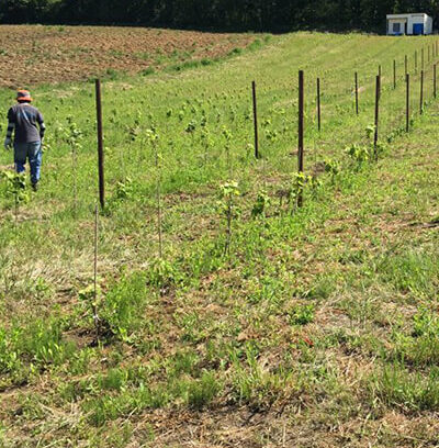 なぜ「農場」なのか？