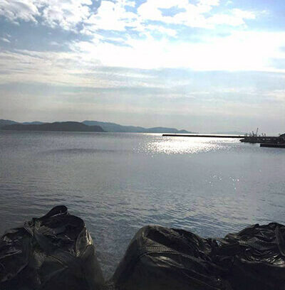 「Reborn-Art Festival 2017」のフードディレクターとして