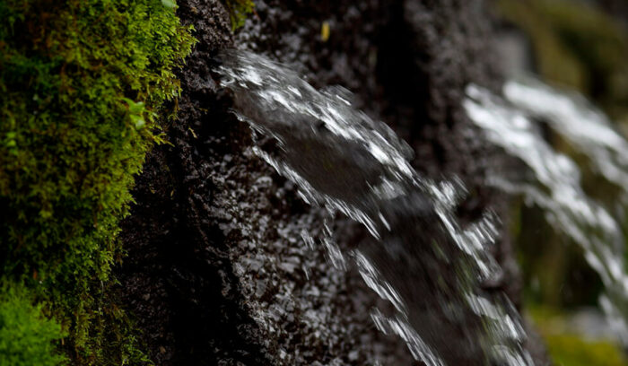 旭岳の源水が支える暮らし