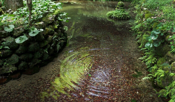 「水源の森」が支える暮らし