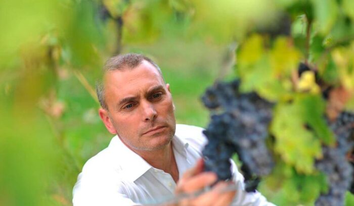 vol.19　モリーゼ州　土着ブドウ品種ティンティリア