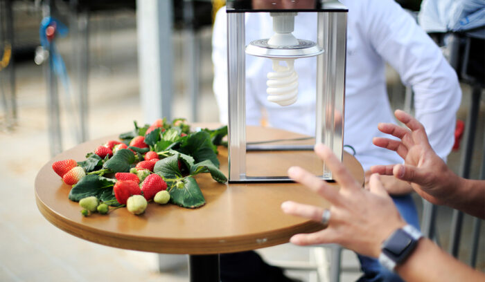 トップパティシエと新世代イチゴ農家が語る、これからの農業 －後編－