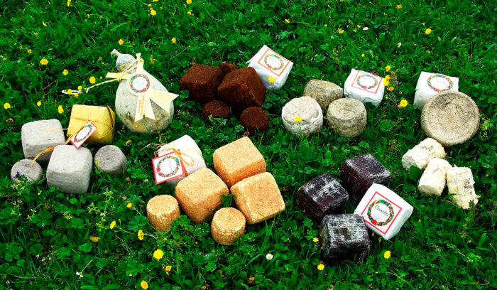 vol.21　プーリア州カステルフィオレンティーノ産ヤギのチーズ