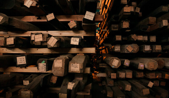 vol.2 目醒める土地の文化、「古木」の記憶