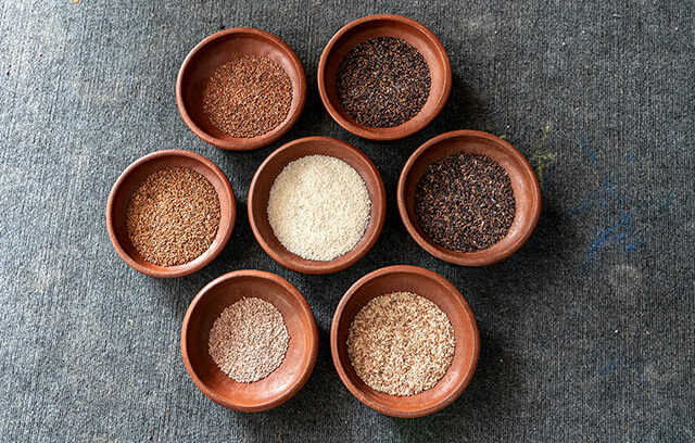 消えゆく在来種米を食べられるアーカイブに