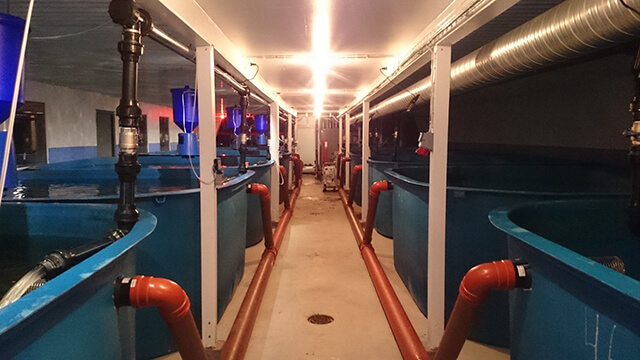 耕作放棄地を活用した陸上養殖