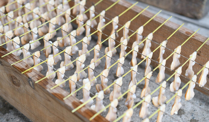 太陽と潮風でつくるディハイドレート食品