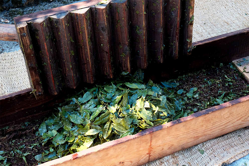 舟の仕組み シュロ紐で編んだ簀の子（すのこ）の上に３の茹でた茶葉を入れ、櫓の先に付いた“摺り板底面”（三角の突起が連なる形状）で摺る。