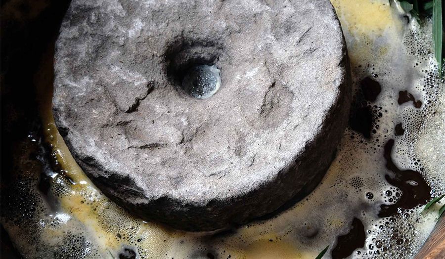 漬物のように漬ける　山あいの家々に伝わる乳酸発酵茶