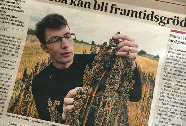 肉に代わる次世代プロテインの救世主、「キヌア」