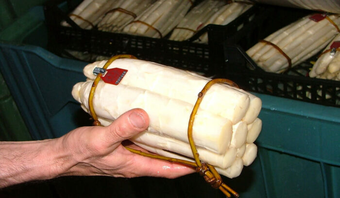 vol.2　ヴェネト州バッサーノ・デル・グラッパのホワイトアスパラガスと茹で卵、そして白ワイン