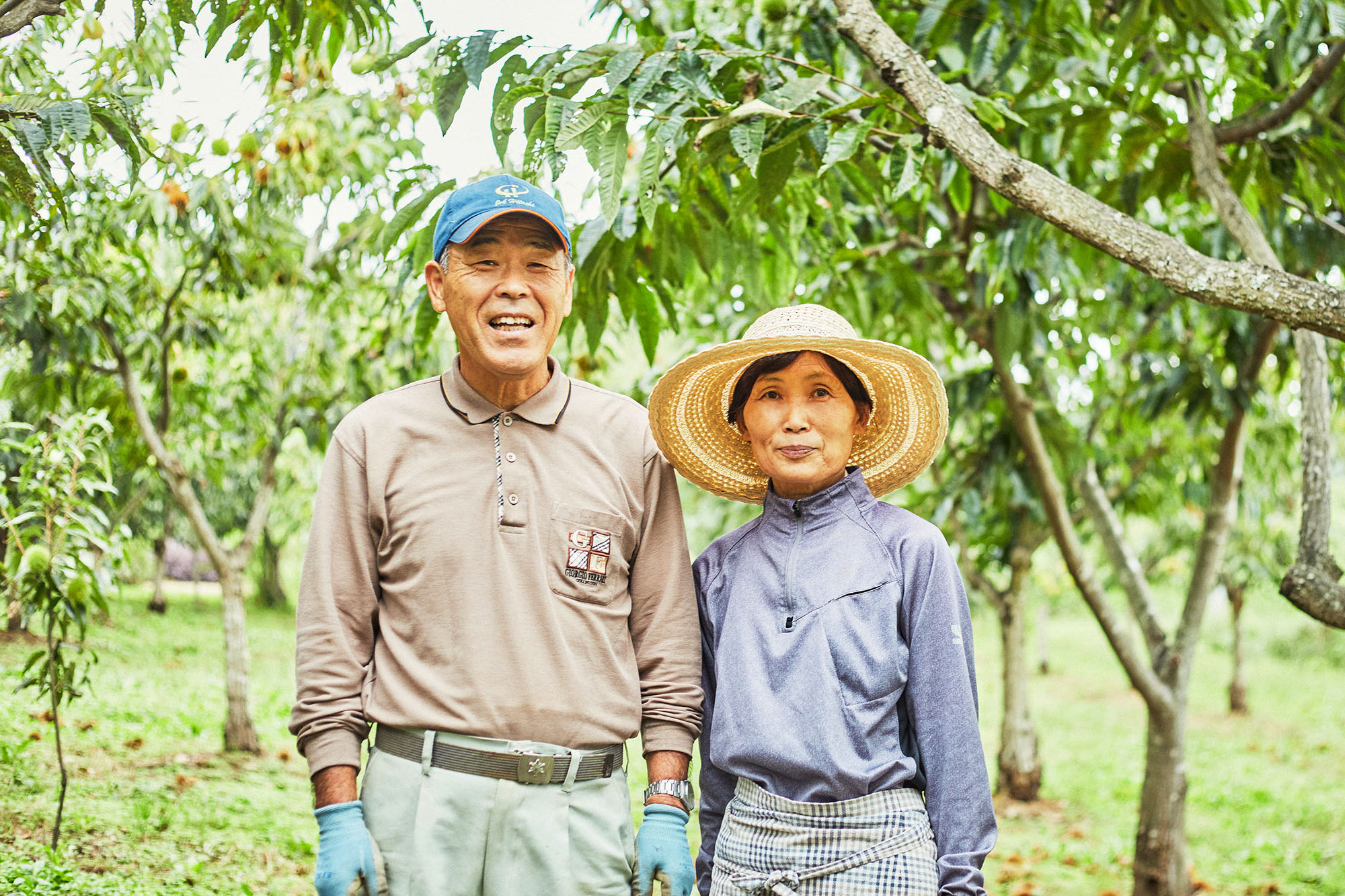 日本一の栗産地に磨きをかける茨城人たち