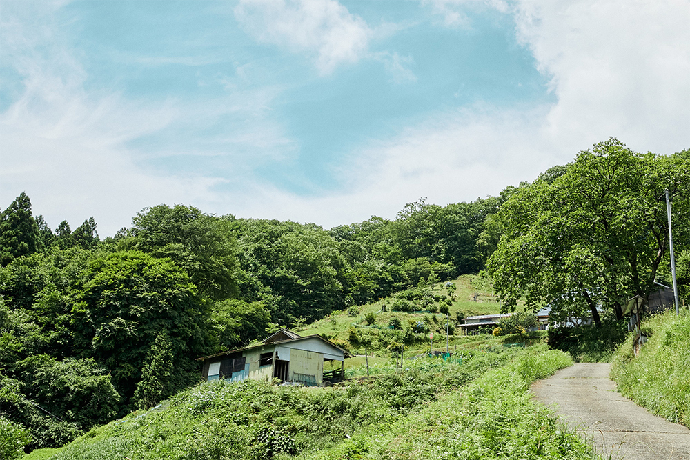 茨城県北西部の県北地域に位置する大子町。
