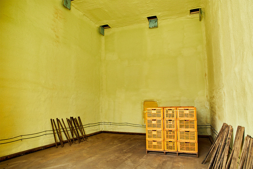 髙木さんのように生産量が多いサツマイモ農家の中には、定温・定湿の貯蔵庫を自宅に設置している人も。この中でキュアリング処理を施した後、出荷まで保存・熟成される。