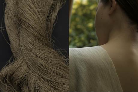 植物が、命をまもる衣、命をつなぐ食になる　