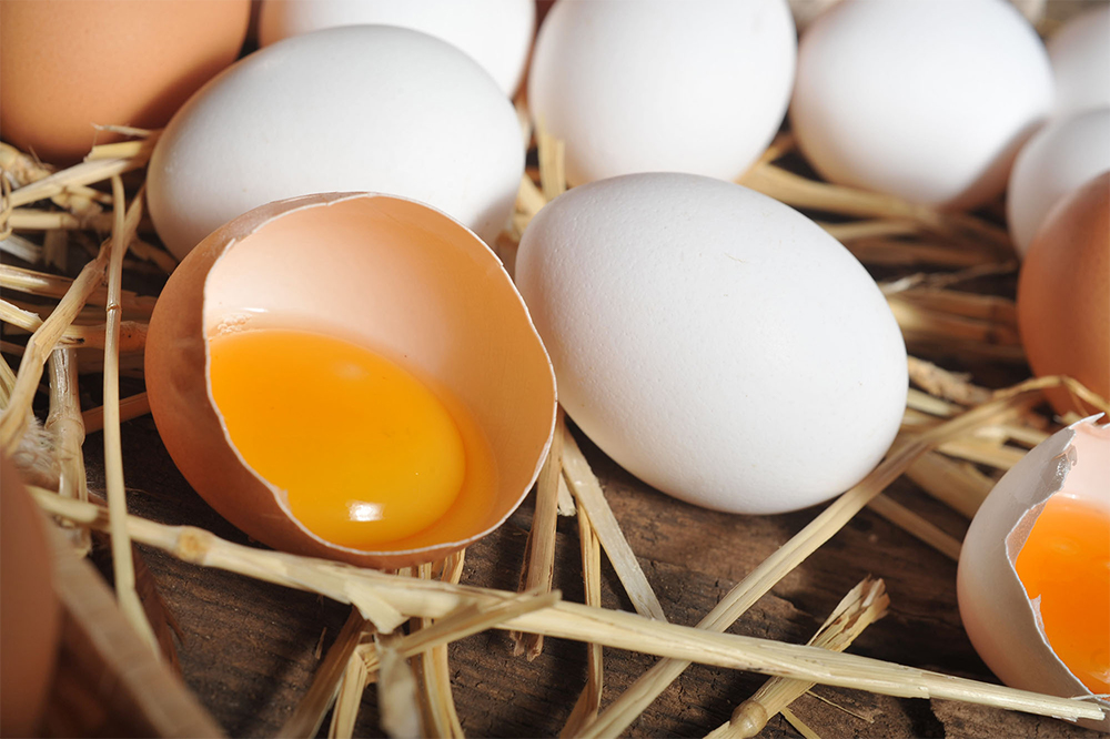 それでも、この卵を口にすれば昔懐かしい味わいがする。