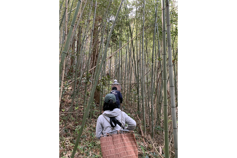 筍を掘りに竹林に入っていく。調理の前に、植生を知り、収穫するところから始まる。