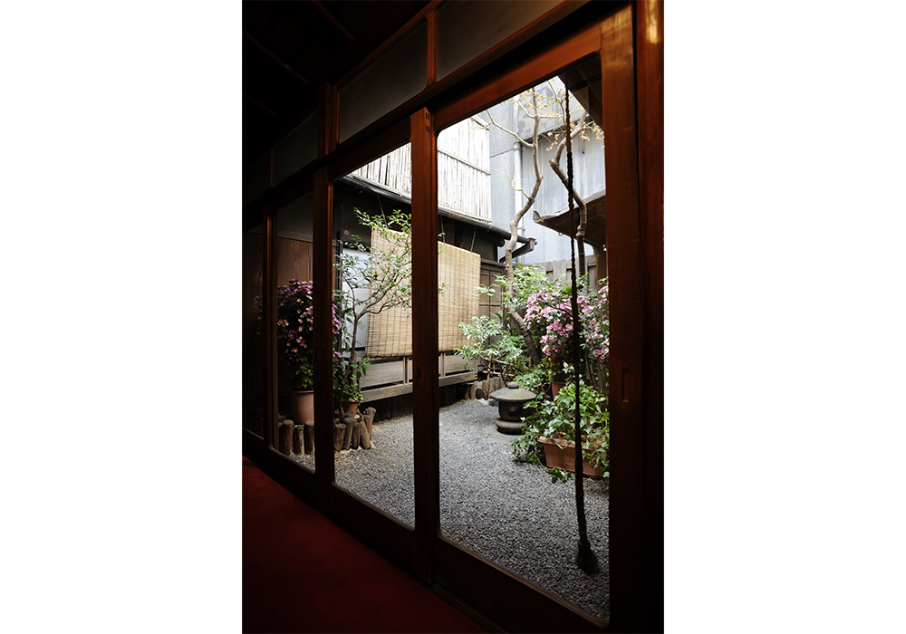 2階の小さな中庭が緑を添える。