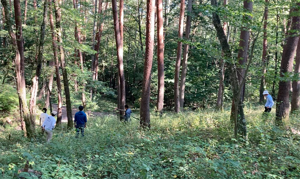 「逃すなよ！」「行った行った！」と蜂を追う声が飛び交う。