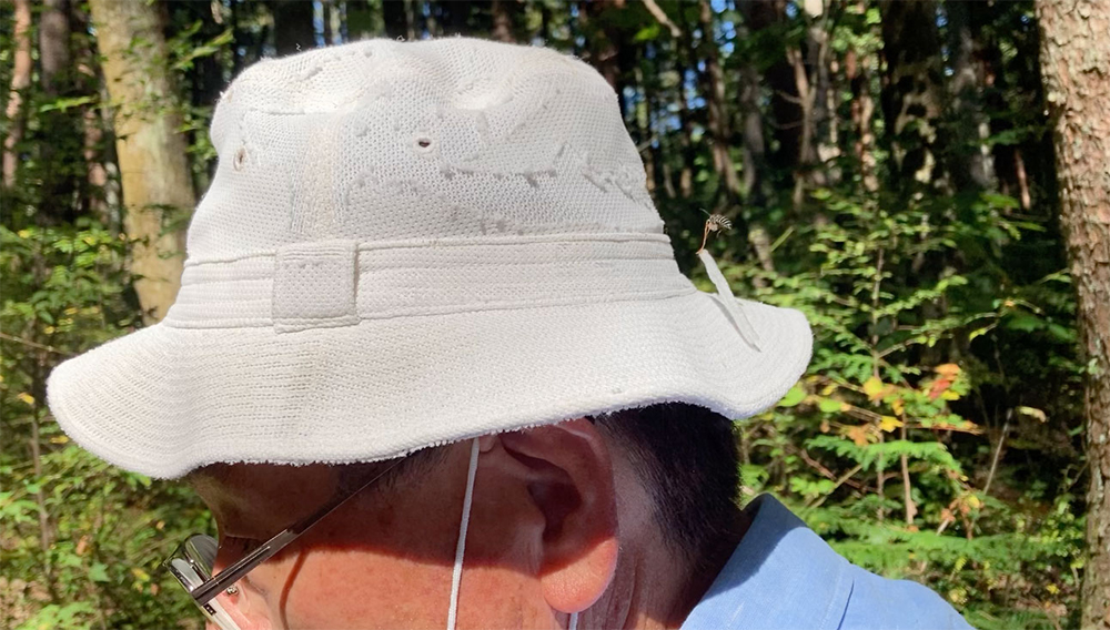 こよりをつけたスガレが、山口会長の帽子にとまった。