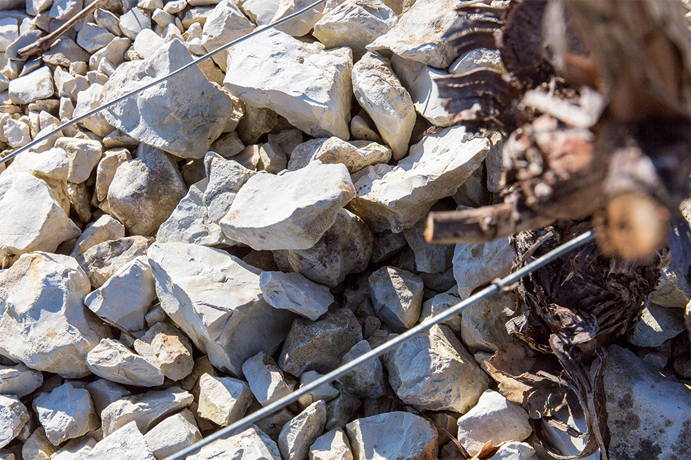 プティ・シャブリの土壌は他と違い、硬い茶色の石灰岩や、シルト質や砂質の土壌を含むポードランディアン期の地層が多くを占める。© BIVB / Sébastien BOULARD