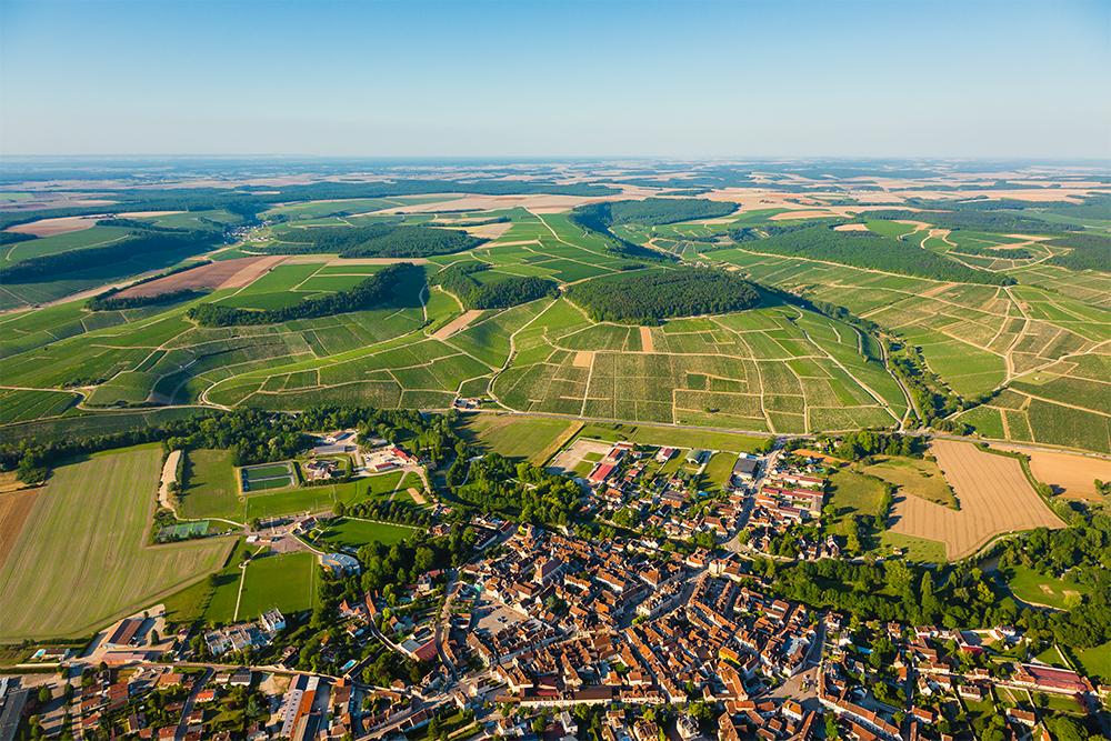 グラン・クリュの畑はシャブリの町の北東部、セラン川の右岸に立地。標高100～250ｍの丘陵地帯に７つのクリマ（区画）が集積する。© BIVB / Aurélien IBANEZ