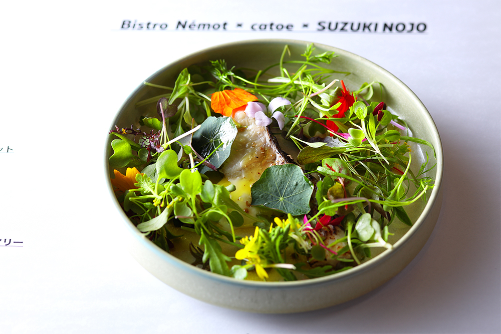 「熊田水産の鯉の乳清ポシェ　鈴木農場の40種のマイクロリーフ」