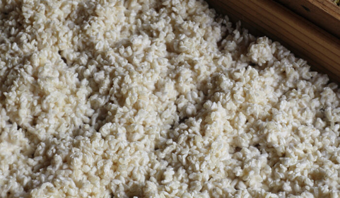 ようこそ発酵蔵へ【麹　Koji】