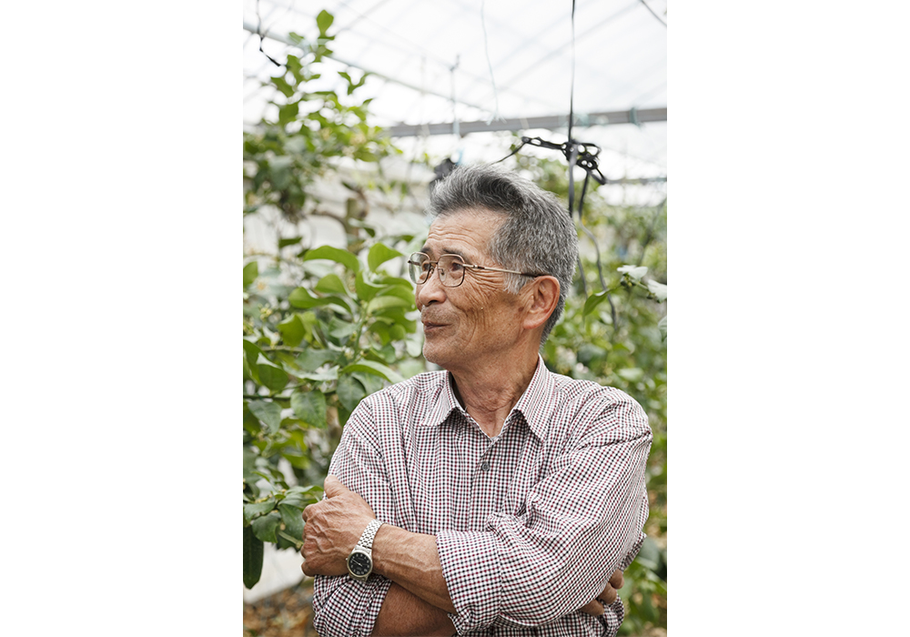 別役次雄さん。「私を含め現在11人で温室柚子部会を作って、安定した品質の青柚子を出荷できるよう努めています」