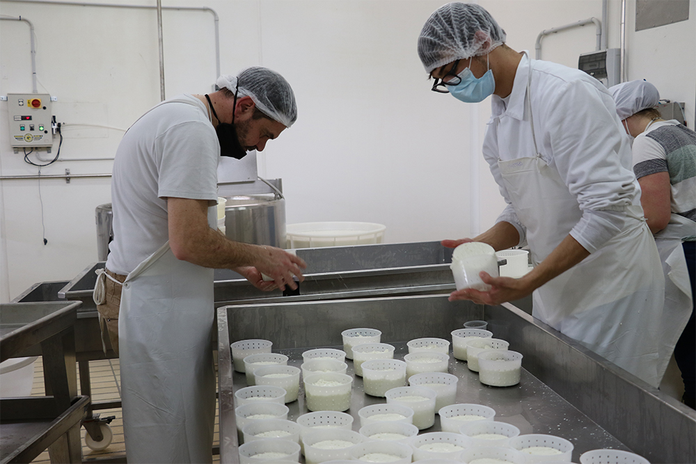 外皮は初期は滑らかで水分を含んでいるが、熟成が進むにつれて表面が乾いて皺ができる。