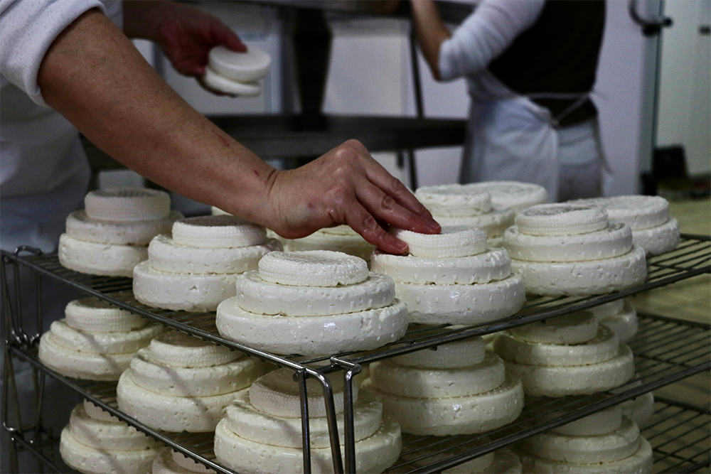 外皮は初期は滑らかで水分を含んでいるが、熟成が進むにつれて表面が乾いて皺ができる。