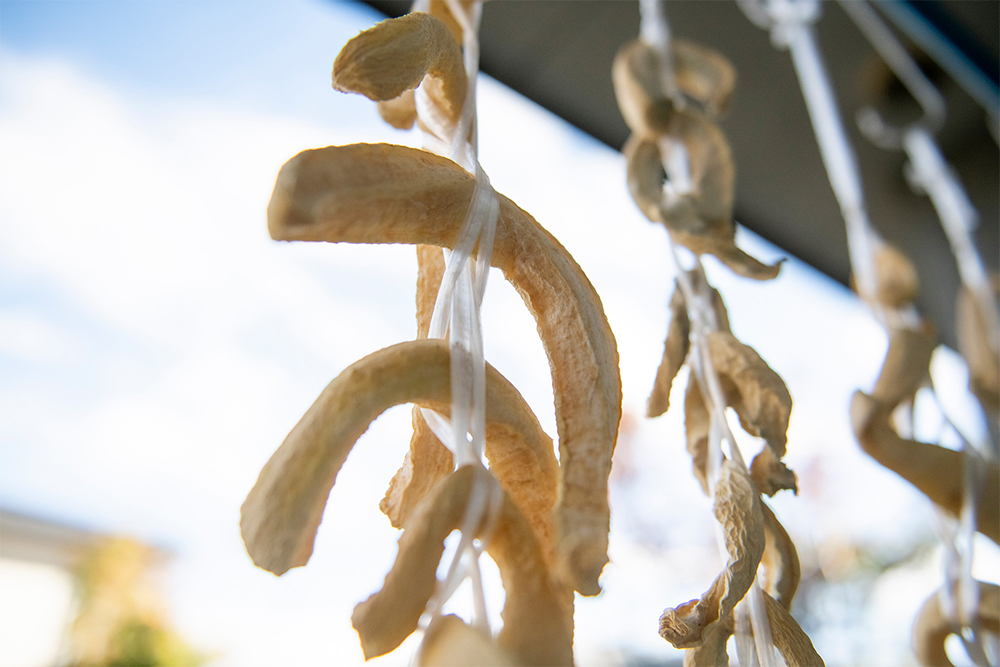 1週間ほど干すとシワが入り、しんなりする。天気のいい日は陽の当たる場所に、雨が降りそうな日は家の中のストーブの側で干したりと臨機応変に、好みの干し加減に仕上げる。