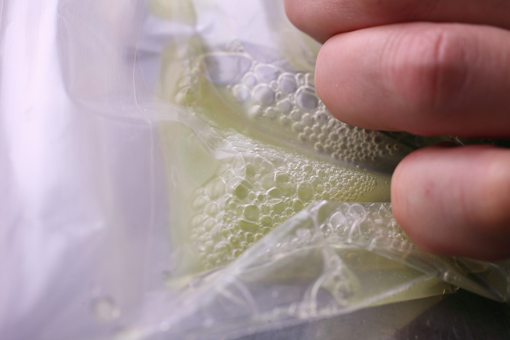 キャベツの水分が出てくるまで揉む。